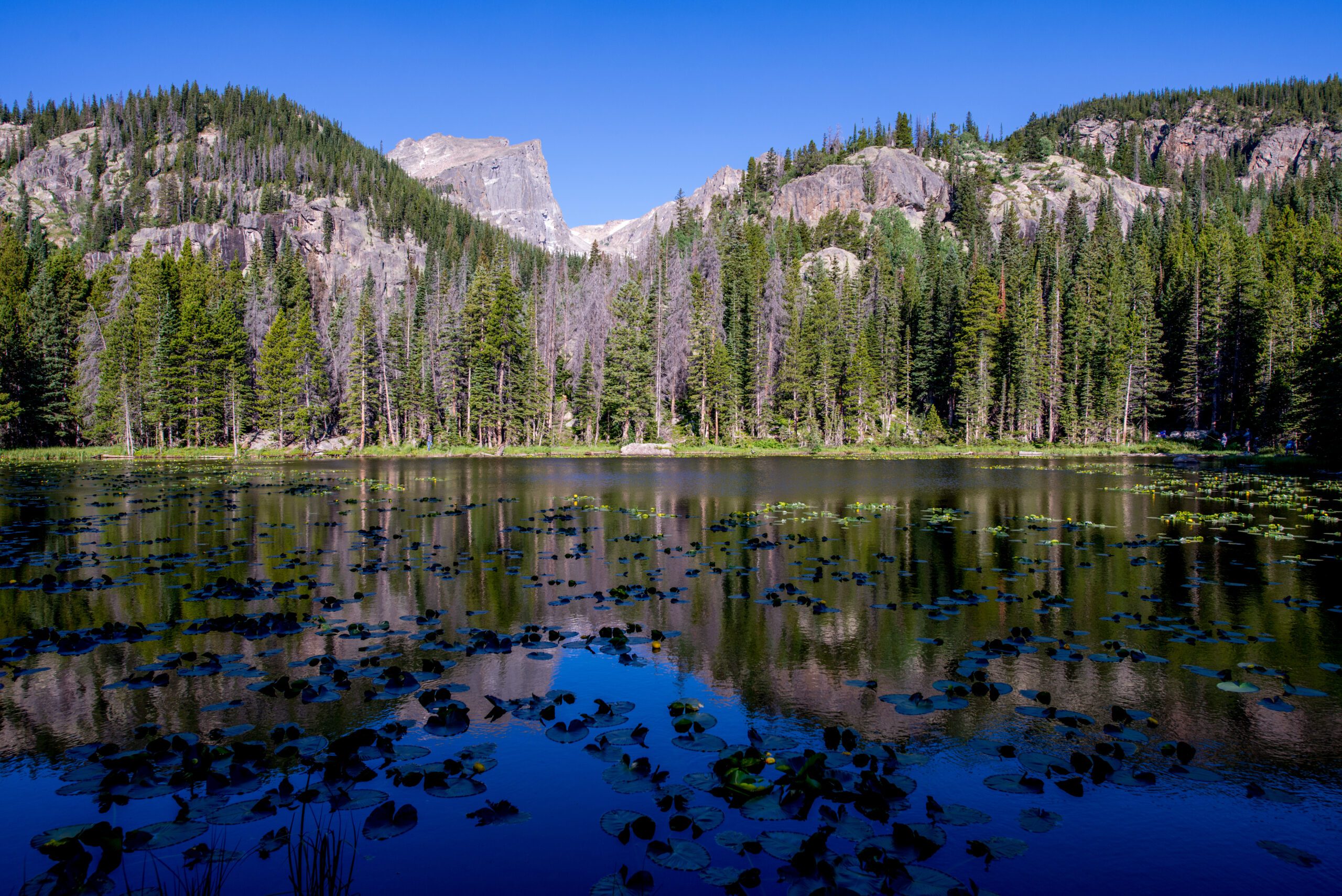 Lake And Mountains
