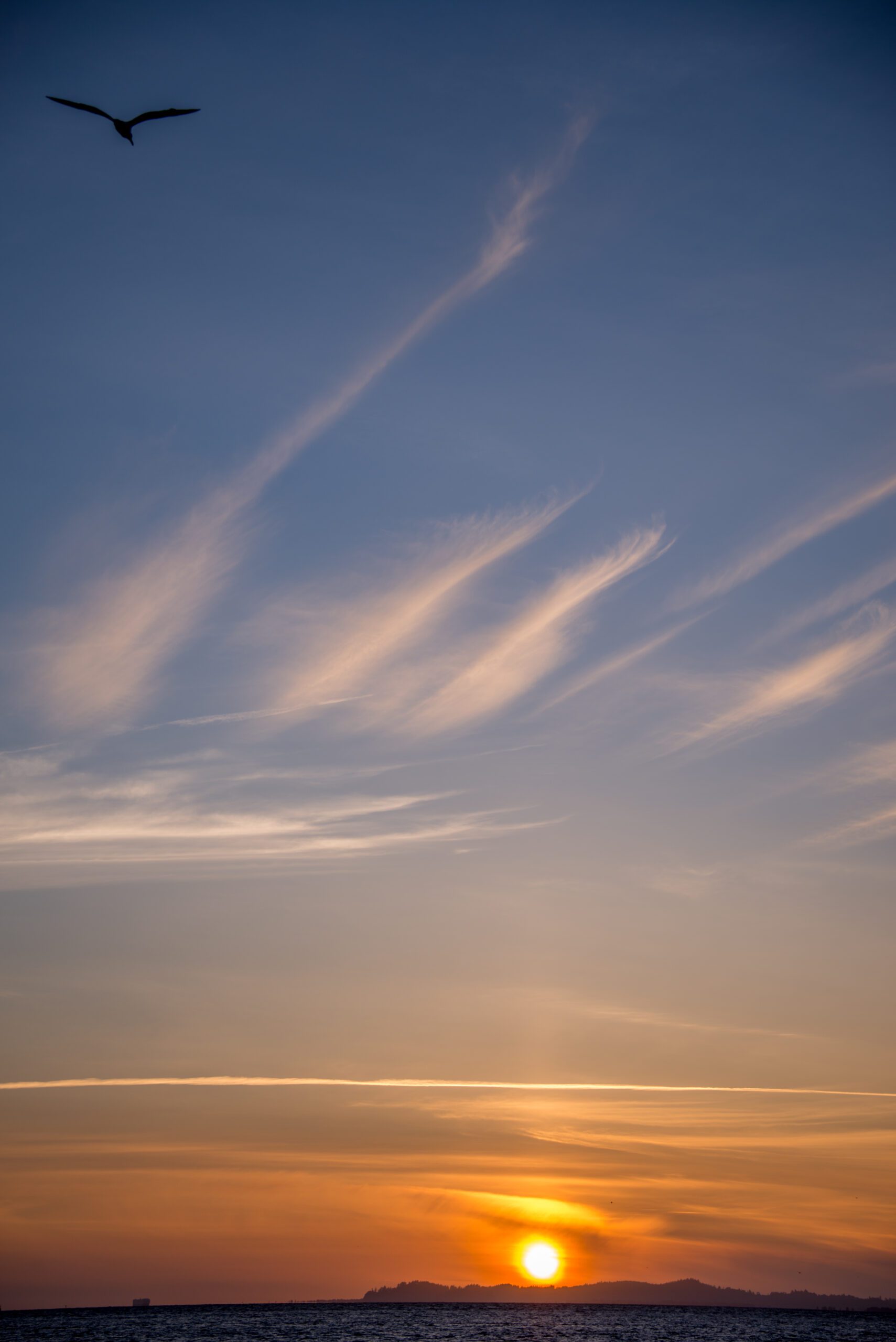 A View Of The Sunset And A Flying Bird